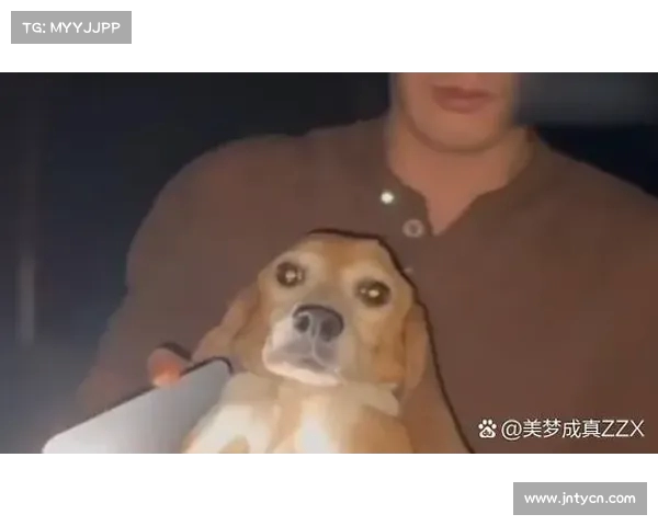 从实验室到家中温暖:杜江谈收养犬只的成长历程,泪目瞬间让人心碎 从实验室到家中温暖:杜江谈收养犬只的成长历程,泪目瞬间让人心碎